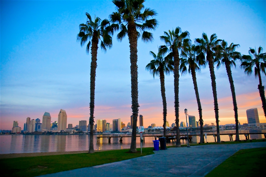 AUA - Home - American Urological Association